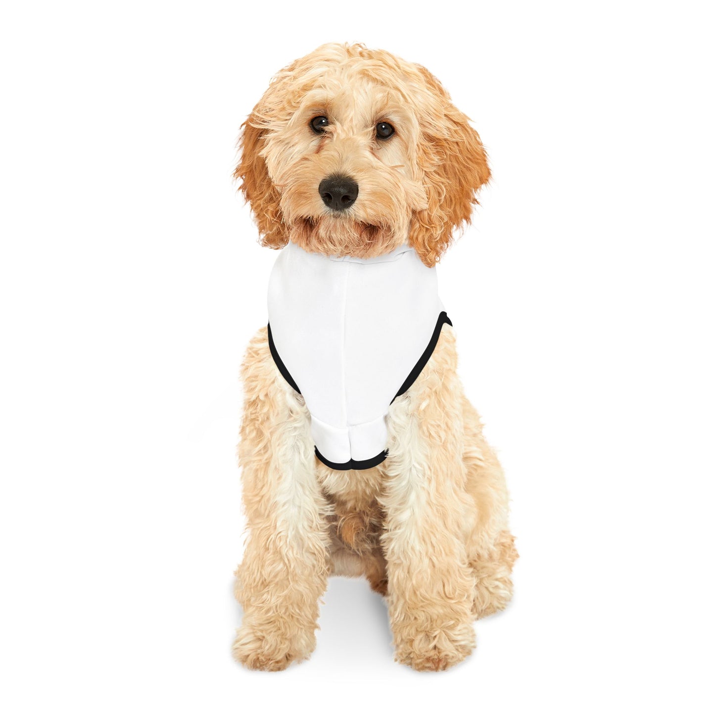 Hot Girls Adopt Pet Hoodie