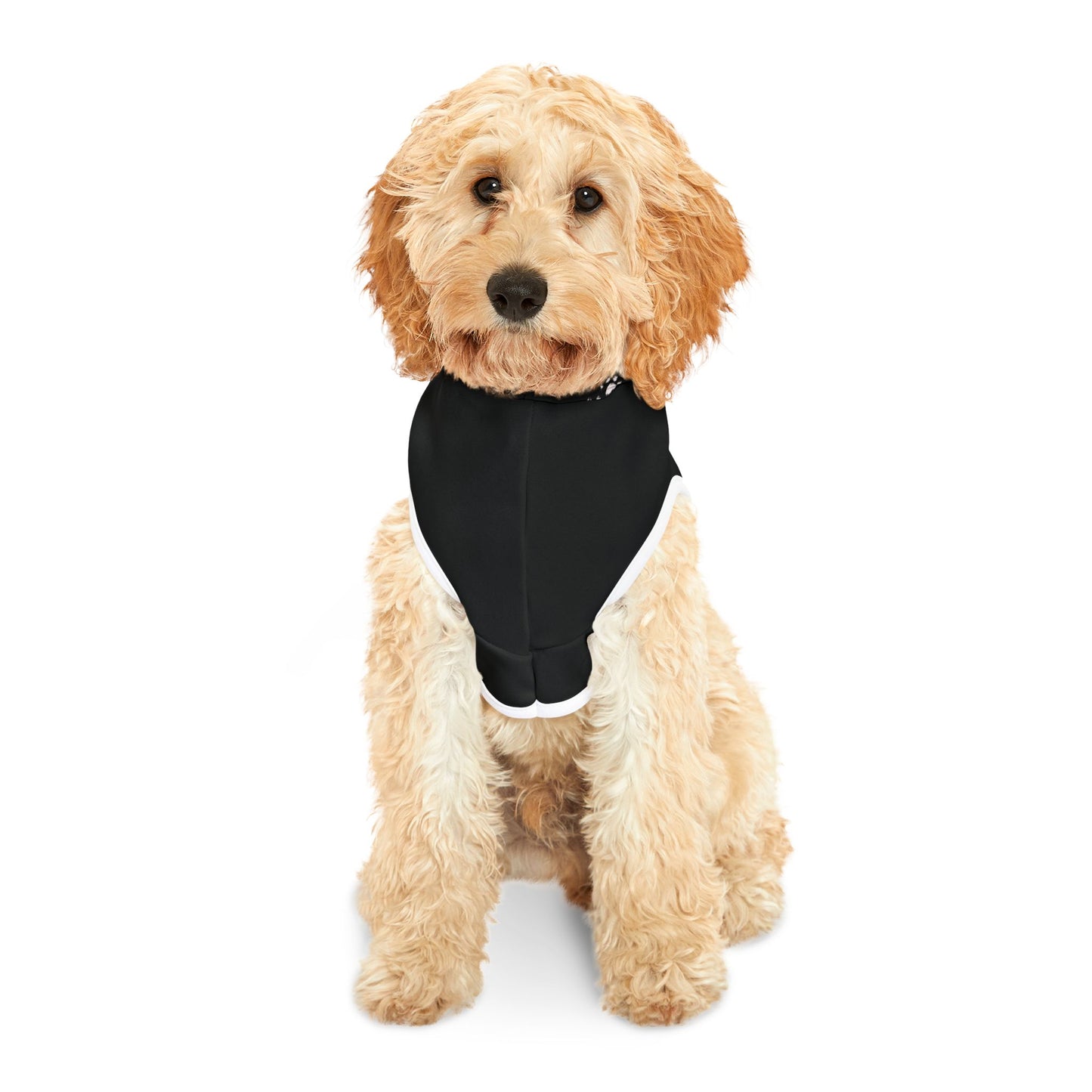 Pet Hoodie Love - Paw Prints, Cute Animal Lover Sweatshirt, Dog Mom Gift, Cat Dad Apparel, Cozy Pet Owner Jumper, Kitten Pawprint Pullover