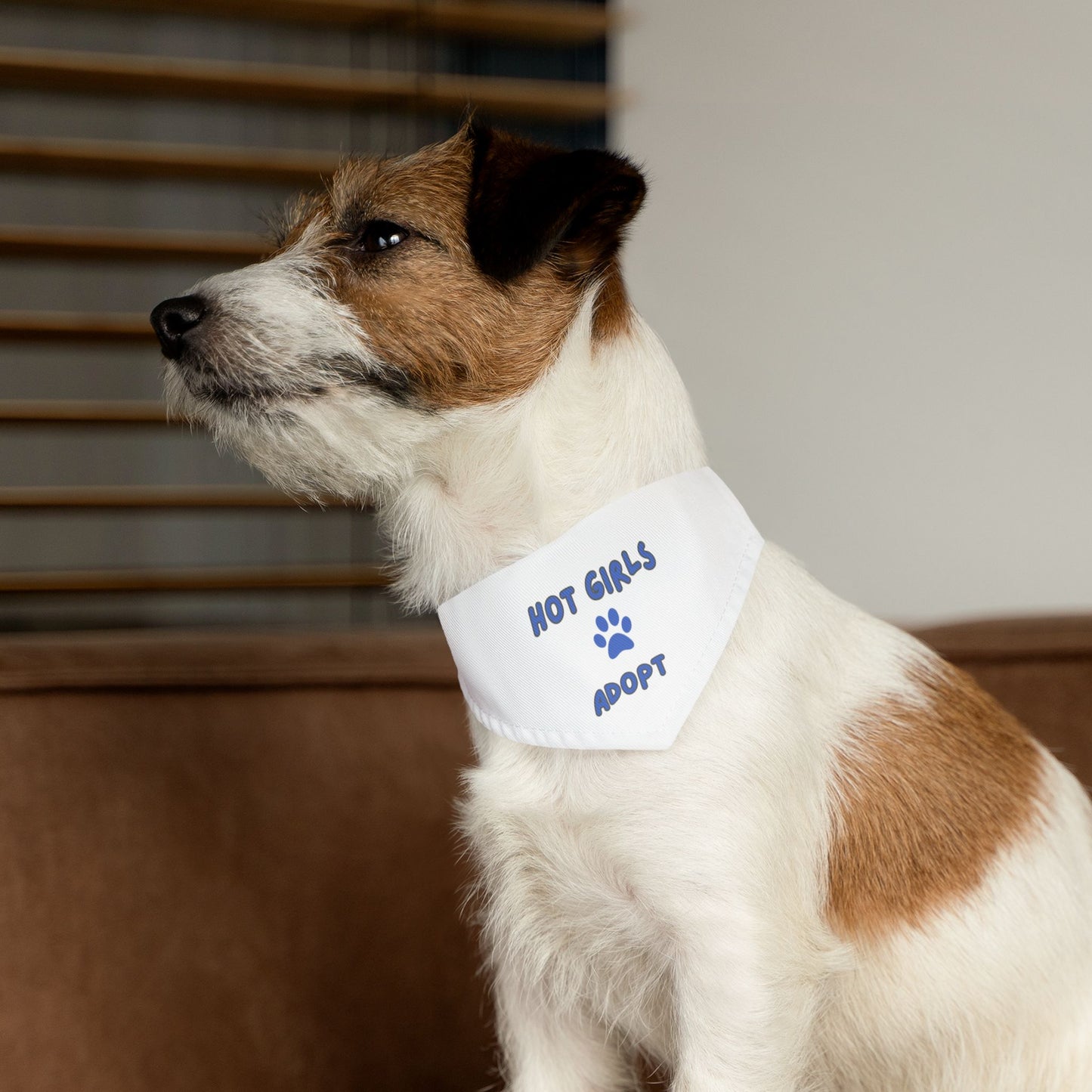 Hot Girls Adopt Pet Bandana Collar