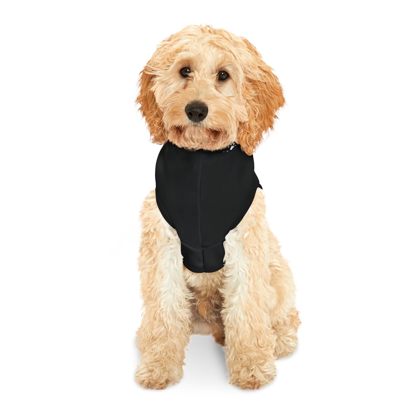 Pet Hoodie Love - Paw Prints, Cute Animal Lover Sweatshirt, Dog Mom Gift, Cat Dad Apparel, Cozy Pet Owner Jumper, Kitten Pawprint Pullover