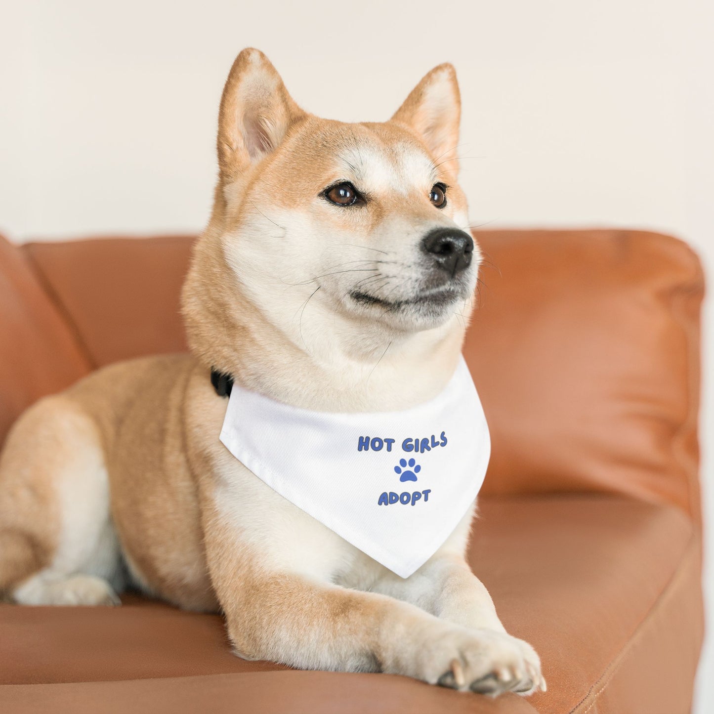 Hot Girls Adopt Pet Bandana Collar