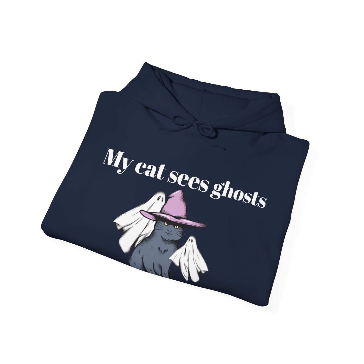 My cat sees ghosts Women's Hooded Sweatshirt