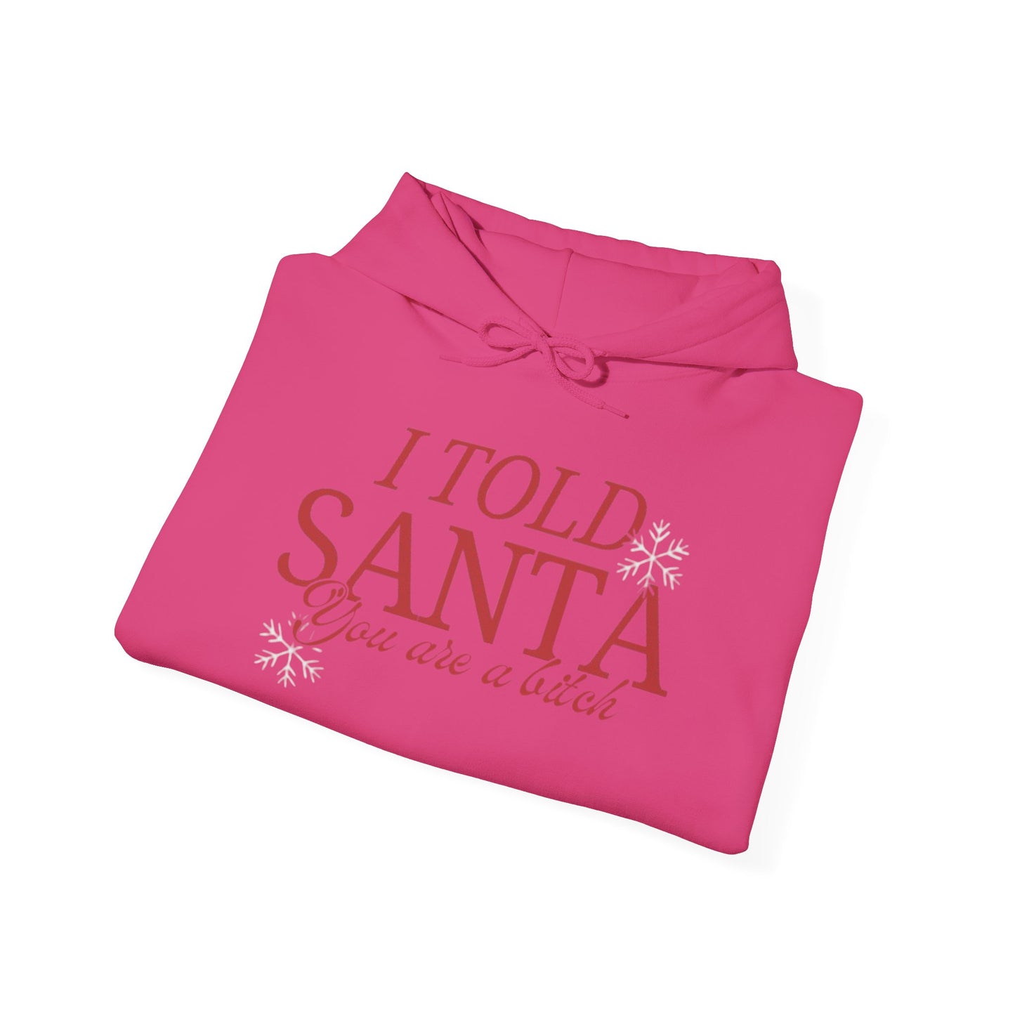 I Told Santa... Women's Christmas Hooded Sweatshirt