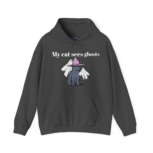 My cat sees ghosts Women's Hooded Sweatshirt