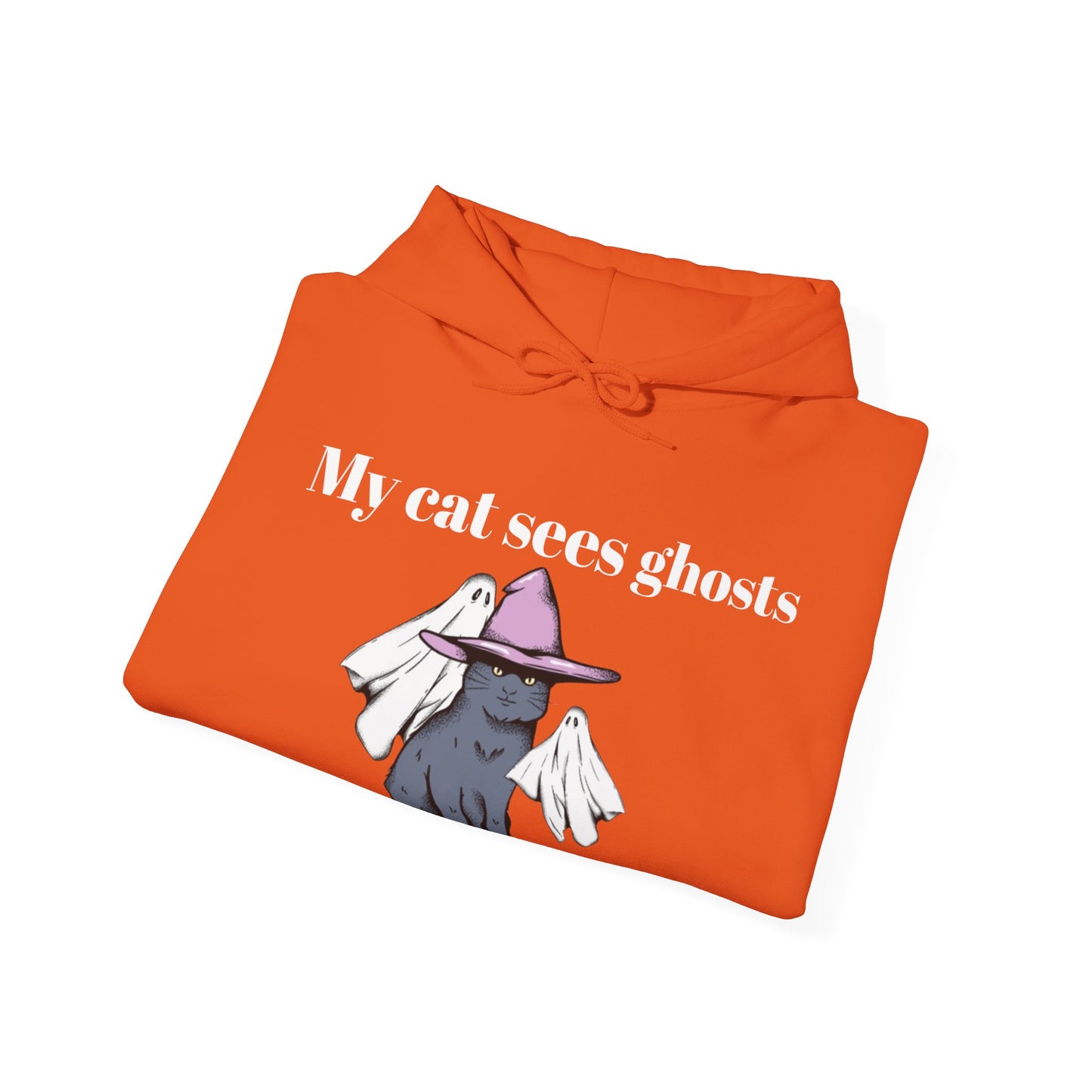 My cat sees ghosts Women's Hooded Sweatshirt