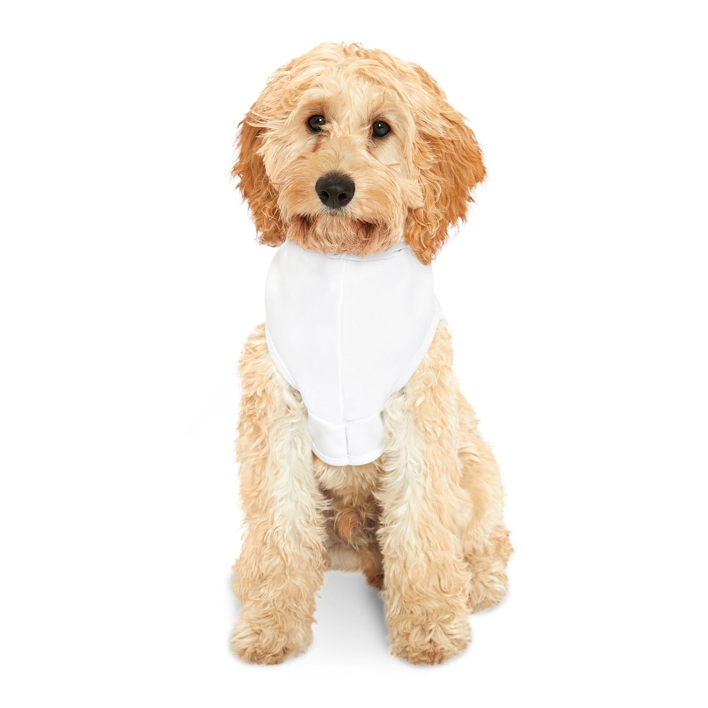 Life is better with paws Pet Hoodie