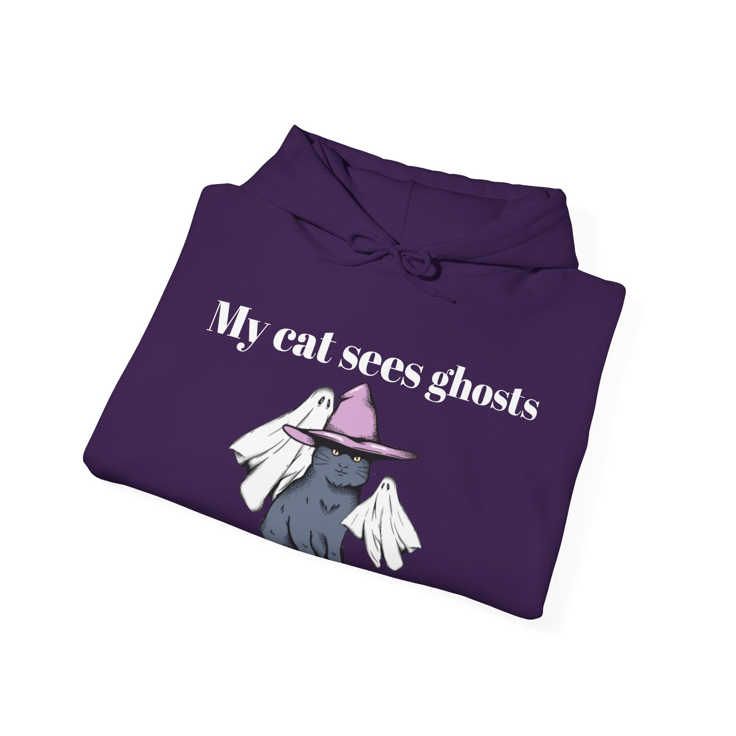 My cat sees ghosts Women's Hooded Sweatshirt