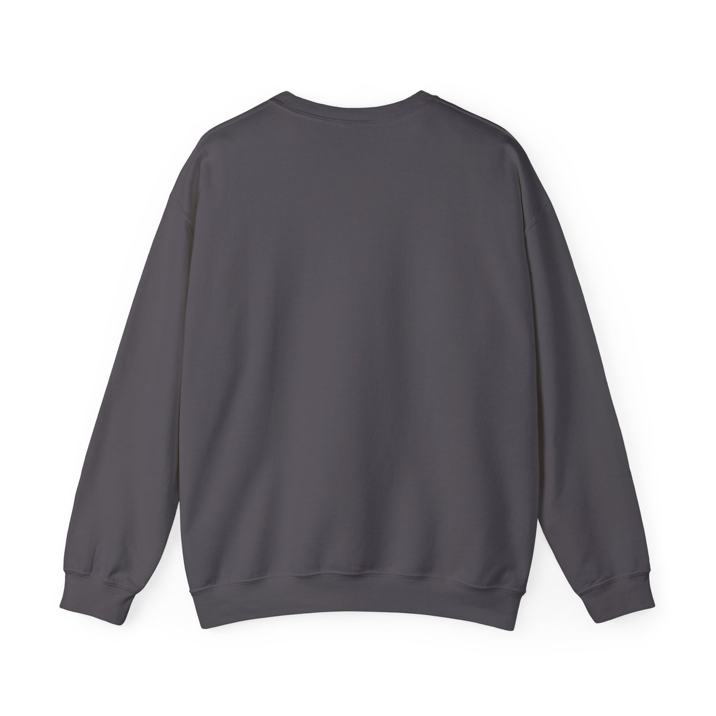 Hot Boys Adopt Crewneck Sweatshirt