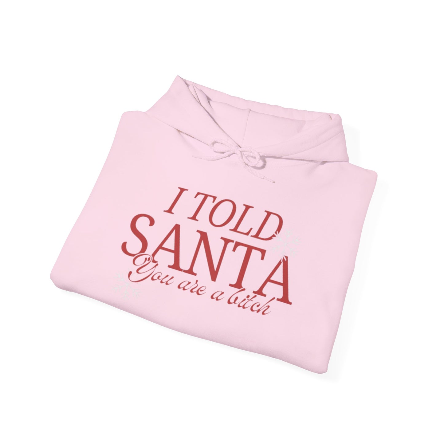I Told Santa... Women's Christmas Hooded Sweatshirt