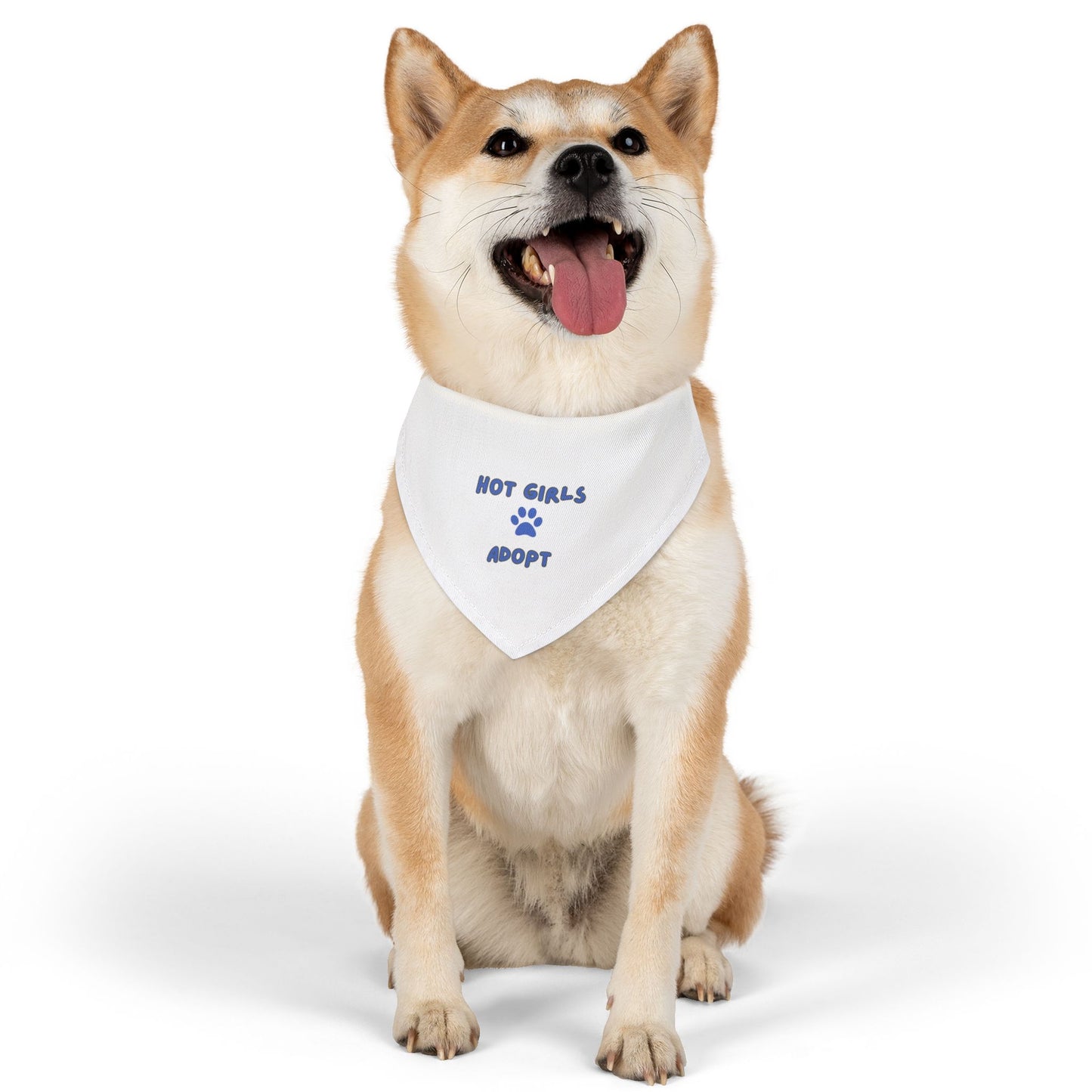 Hot Girls Adopt Pet Bandana Collar