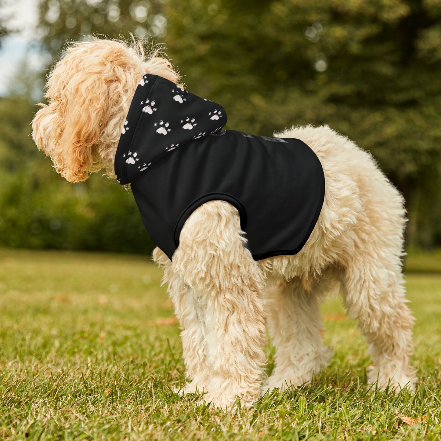 Pet Hoodie Love - Paw Prints, Cute Animal Lover Sweatshirt, Dog Mom Gift, Cat Dad Apparel, Cozy Pet Owner Jumper, Kitten Pawprint Pullover