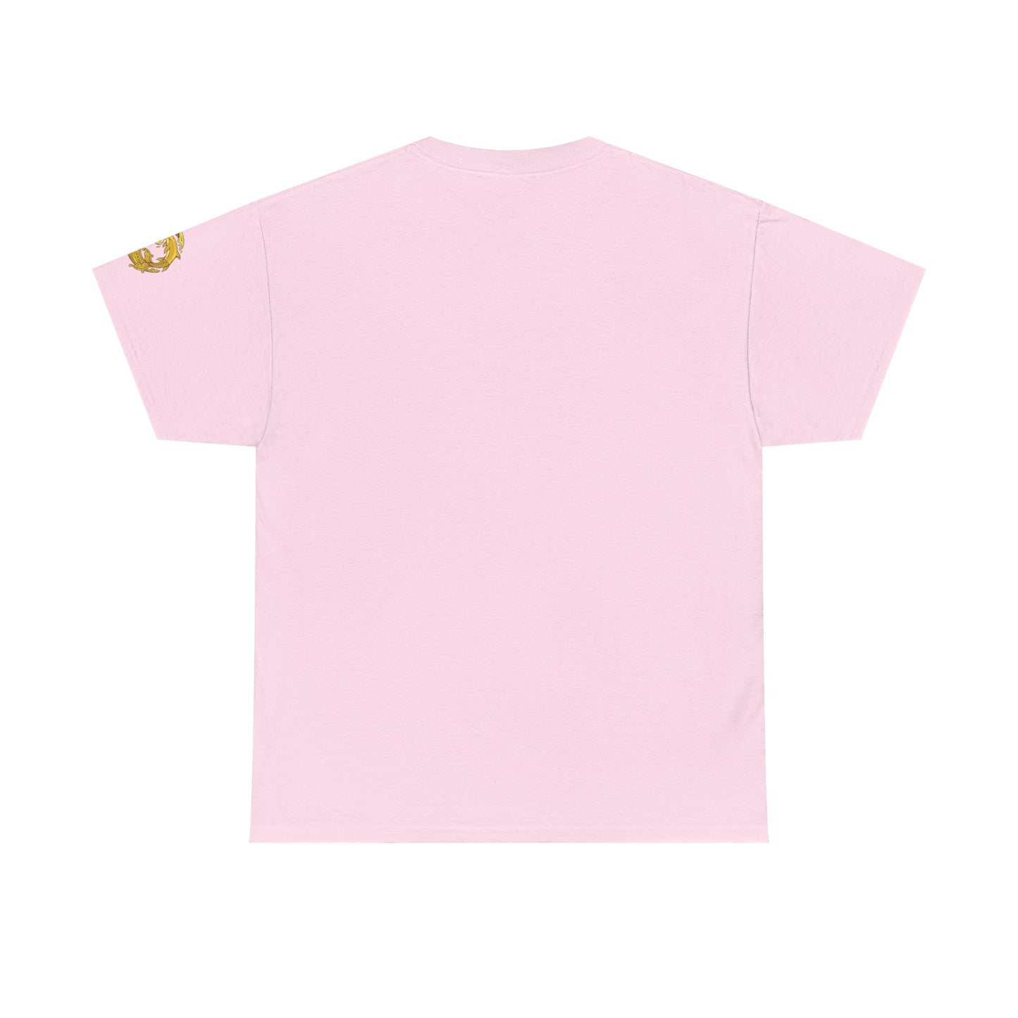Aidan Selene "In The Sun, We Have Too Much Fun " Summer Graphic T-Shirt (size only in XL)