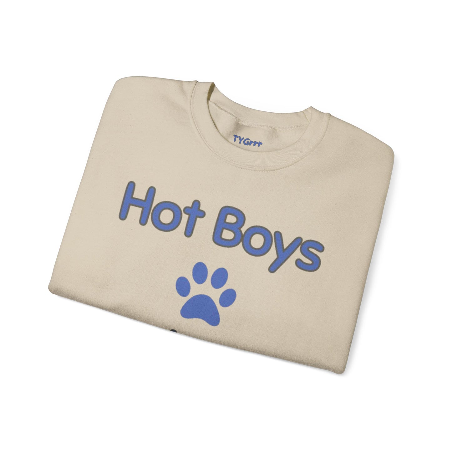 Hot Boys Adopt Crewneck Sweatshirt