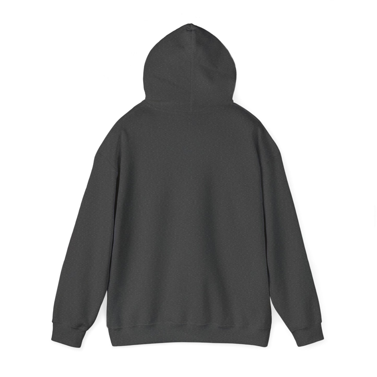 My cat sees ghosts Women's Hooded Sweatshirt