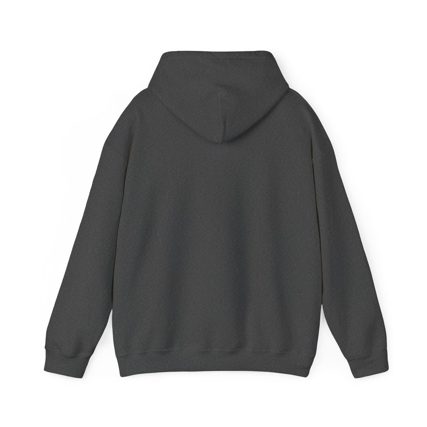 My cat sees ghosts Women's Hooded Sweatshirt
