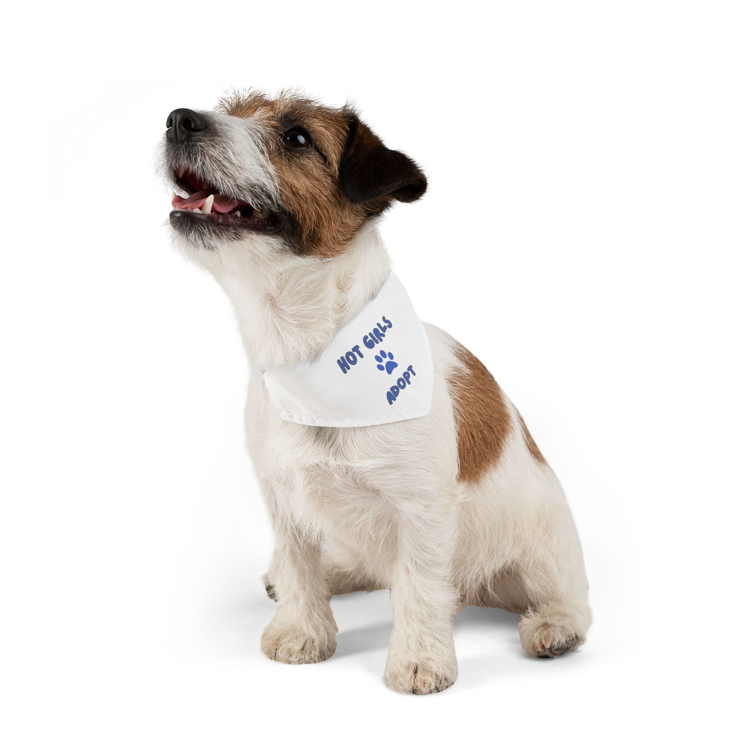 Hot Girls Adopt Pet Bandana Collar