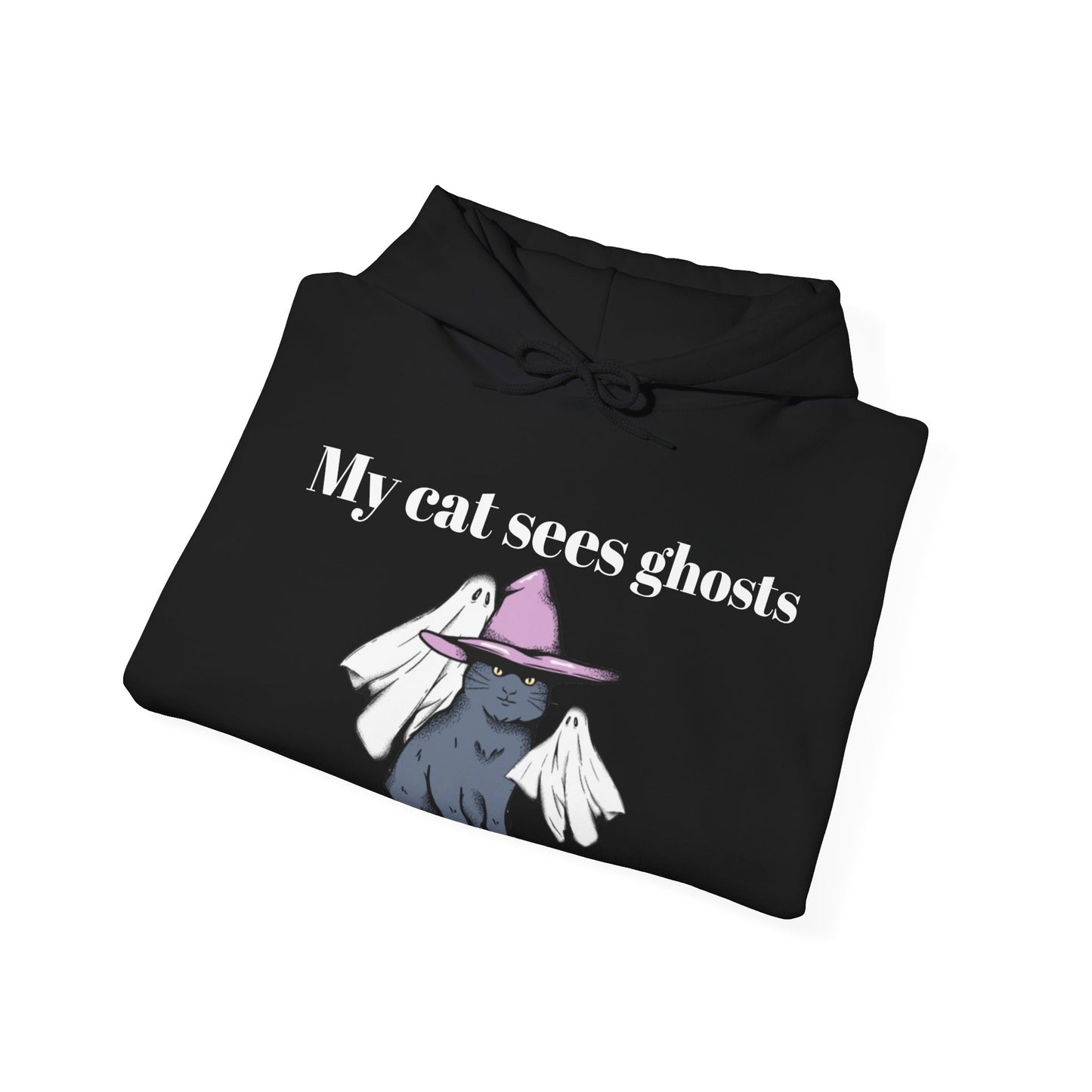 My cat sees ghosts Women's Hooded Sweatshirt