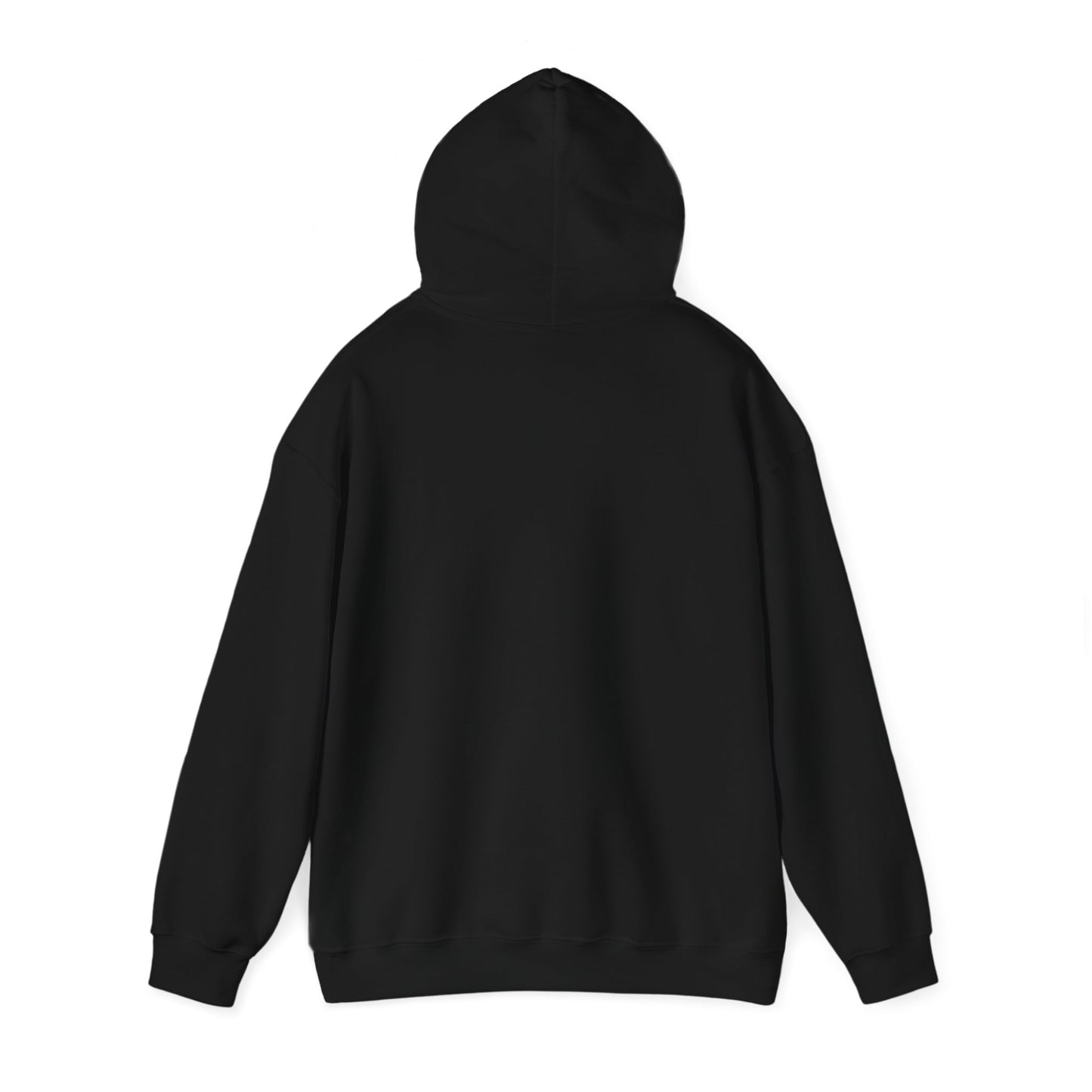 My cat sees ghosts Women's Hooded Sweatshirt
