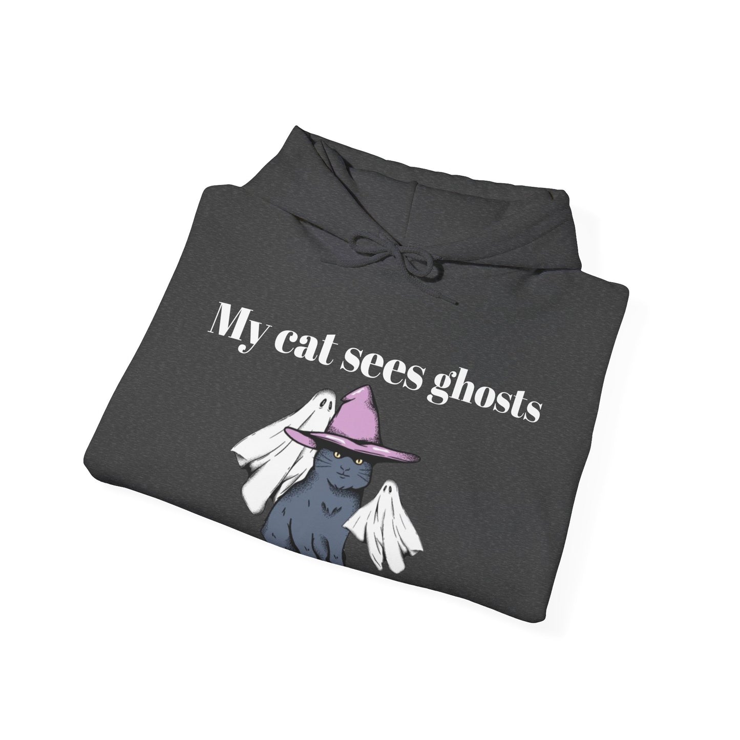 My cat sees ghosts Women's Hooded Sweatshirt