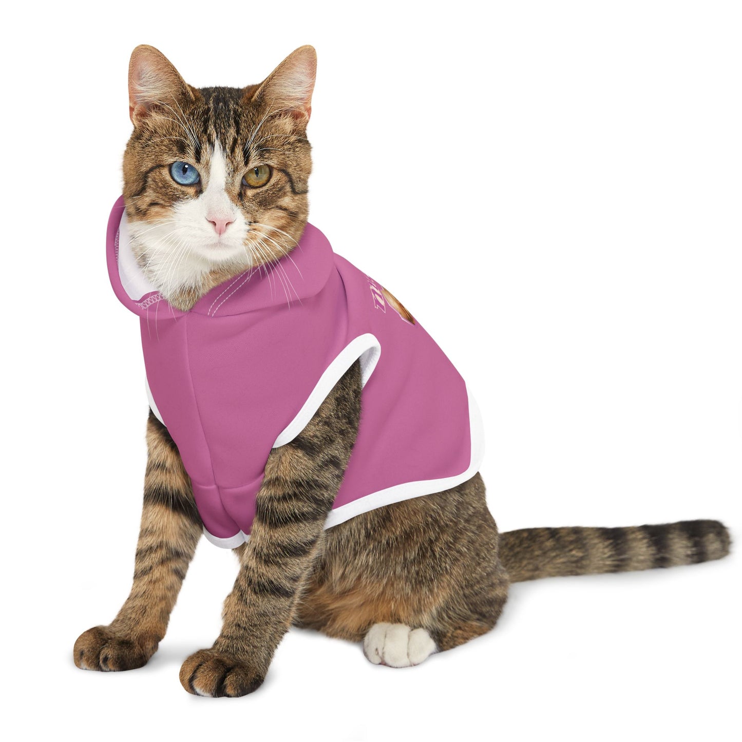 Cat Hoodie (Meow)
