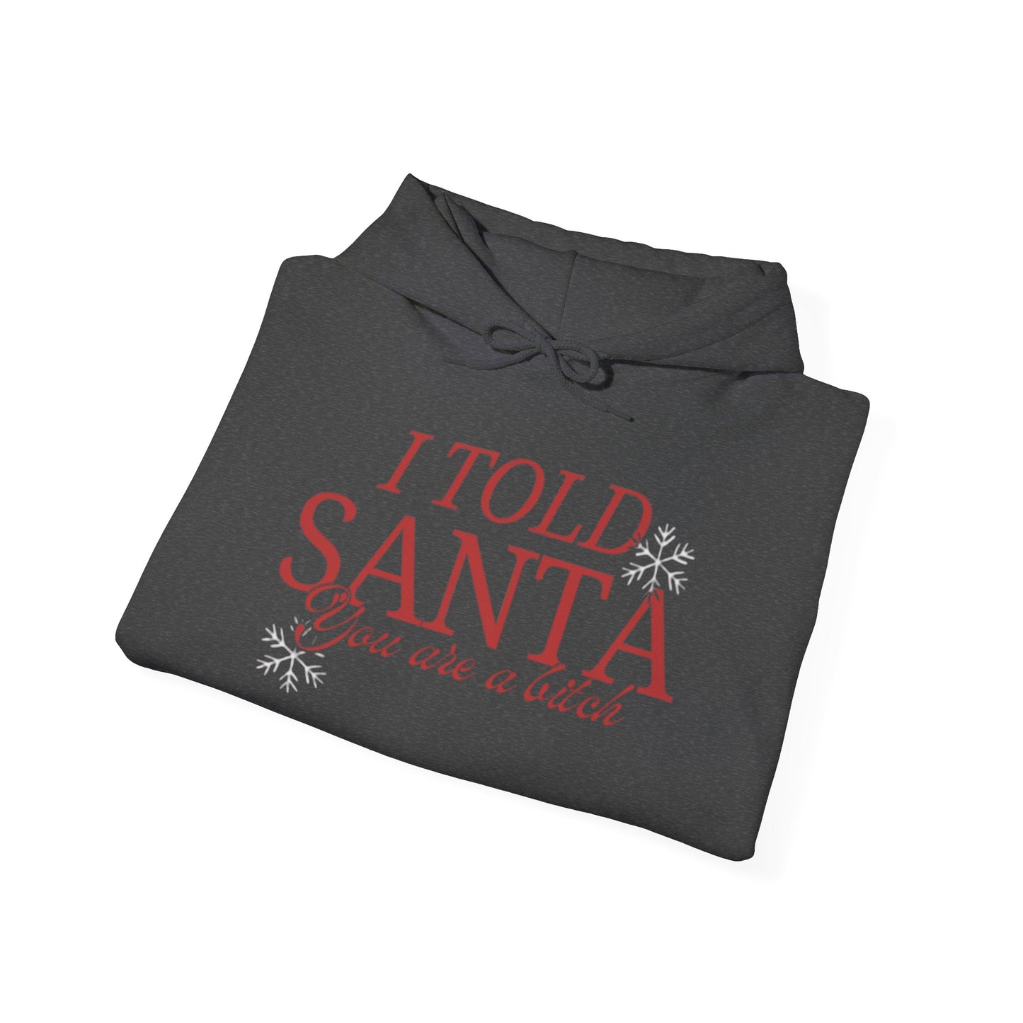 I Told Santa... Women's Christmas Hooded Sweatshirt