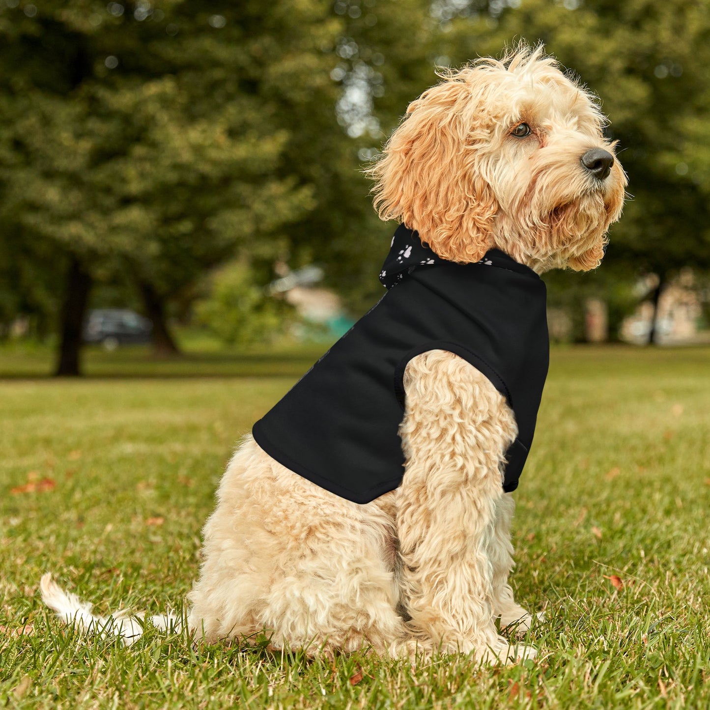 Pet Hoodie Love - Paw Prints, Cute Animal Lover Sweatshirt, Dog Mom Gift, Cat Dad Apparel, Cozy Pet Owner Jumper, Kitten Pawprint Pullover